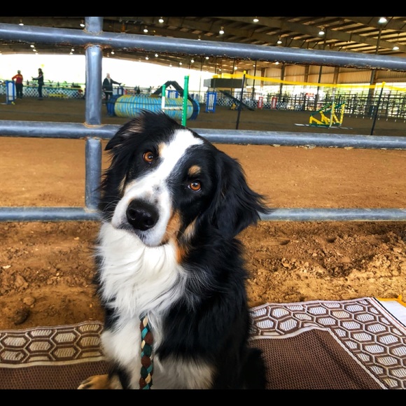 Meet your Posher, Karen - Picture 1 of 1